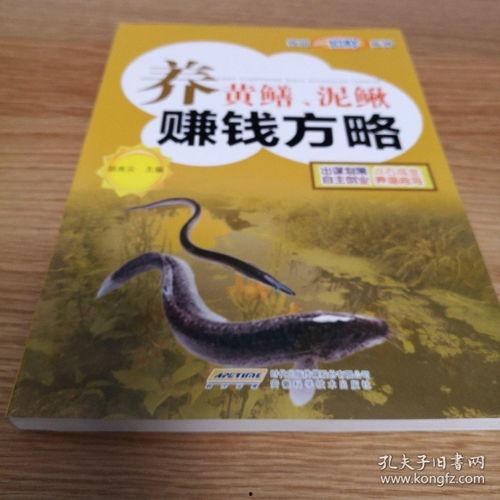 致富经黄鳝养殖视频,揭秘黄鳝养殖的黄金法则