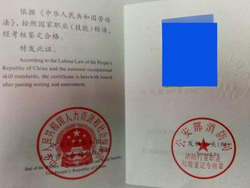 网红明星 第3页