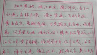 胡一帆练字视频,书法艺术的传承与创新之路