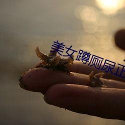 厕拍尿视频,揭秘那些令人捧腹的尿视频瞬间